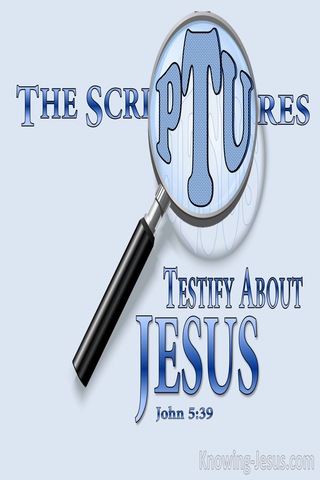 John 5:39 These Are They Which Testify Of Me (blue)